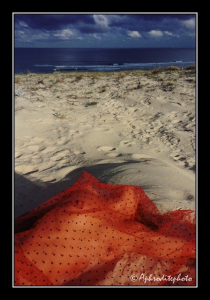 119 Le voile des sables